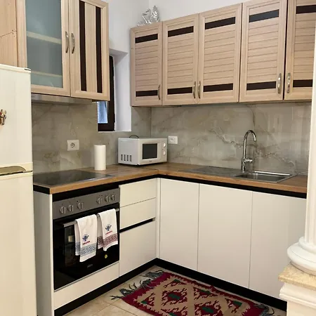 아파트 Comfort 2br With Lush Living 티라나