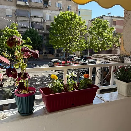 Comfort 2br With Lush Living *